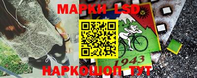 сатива Камышлов