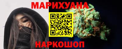 сатива Камышлов