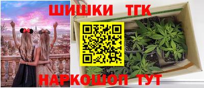 СК Кандалакша