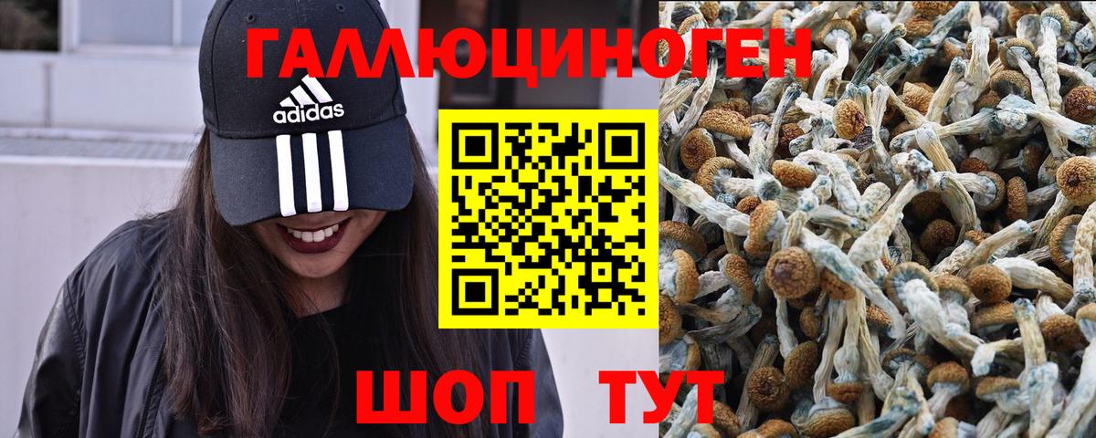 Краснокаменск  Галлюциногенные грибы MAGIC MUSHROOMS  Вход с VPN  Псилоцибиновые грибы ЛСД 